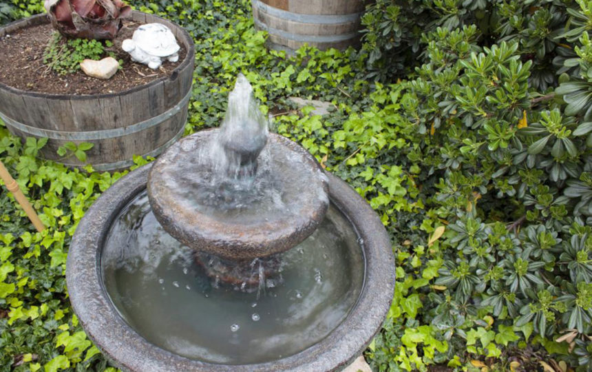 Popular types of water fountains you should know about