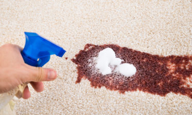 Reasons Why You Should Invest In The Best Carpet Stain Removers