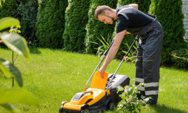 Reasons to purchase a zero turn mower