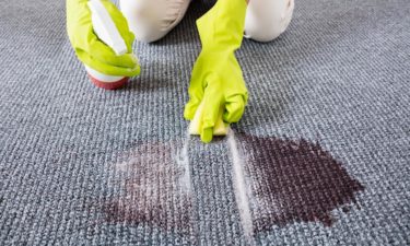 The Best Carpet Stain Removers You Must Know About