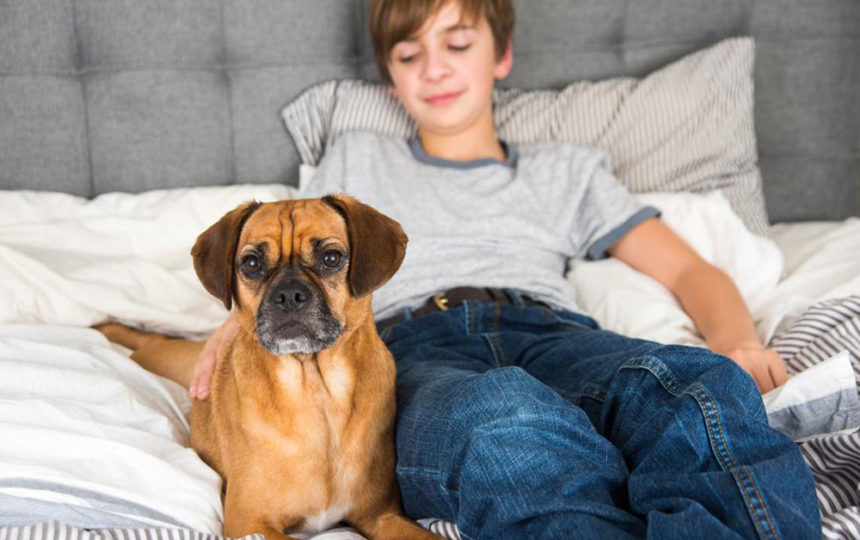 Things you need to know before adopting a dog