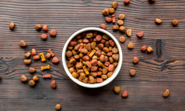 Tips for Buying the Best Dog Food