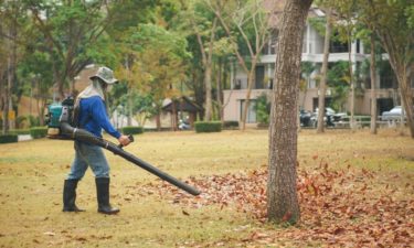 Tips for buying a gas leaf blower