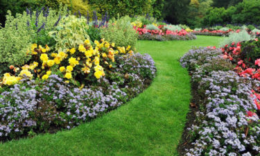 Tips for maintaining a neat and beautiful garden