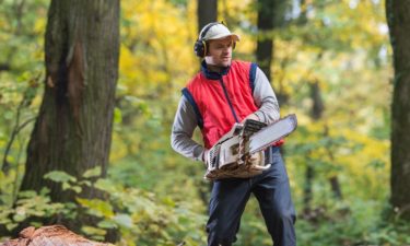 Tips to buy chainsaw and save money without quality compromise