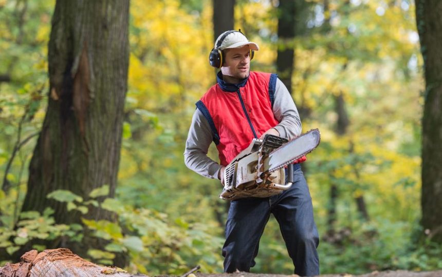 Tips to buy chainsaw and save money without quality compromise