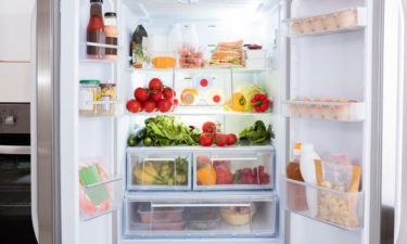 Tips to save money on refrigerator filters