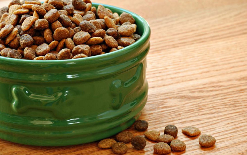 Top 10 pocket friendly dry dog and puppy food