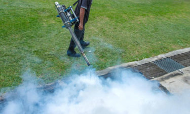 Two essential steps for mosquito control