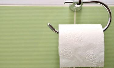 Types of bathroom tissue holders