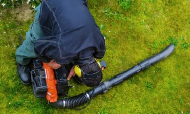 Types of leaf blowers and uses