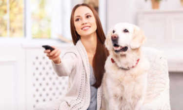 Types of removers that can help you fight pet odor!