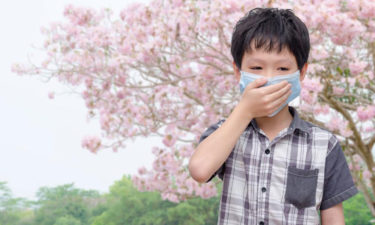 Use these measures to protect yourself from pollen allergy