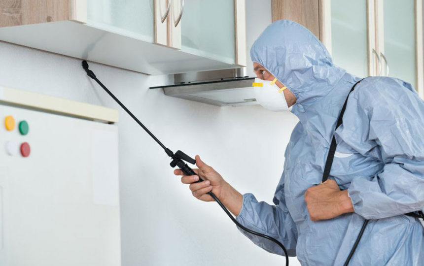 Pest control and its benefits