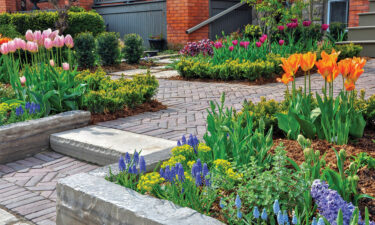 Ways to use wood for border edging