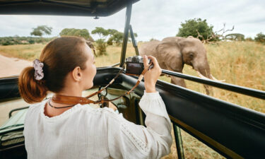 7 mistakes to avoid while booking a safari