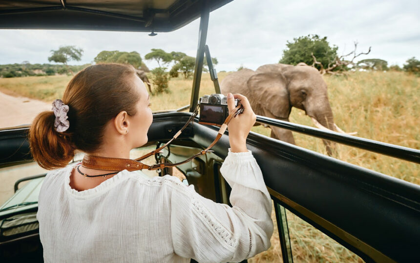 7 mistakes to avoid while booking a safari
